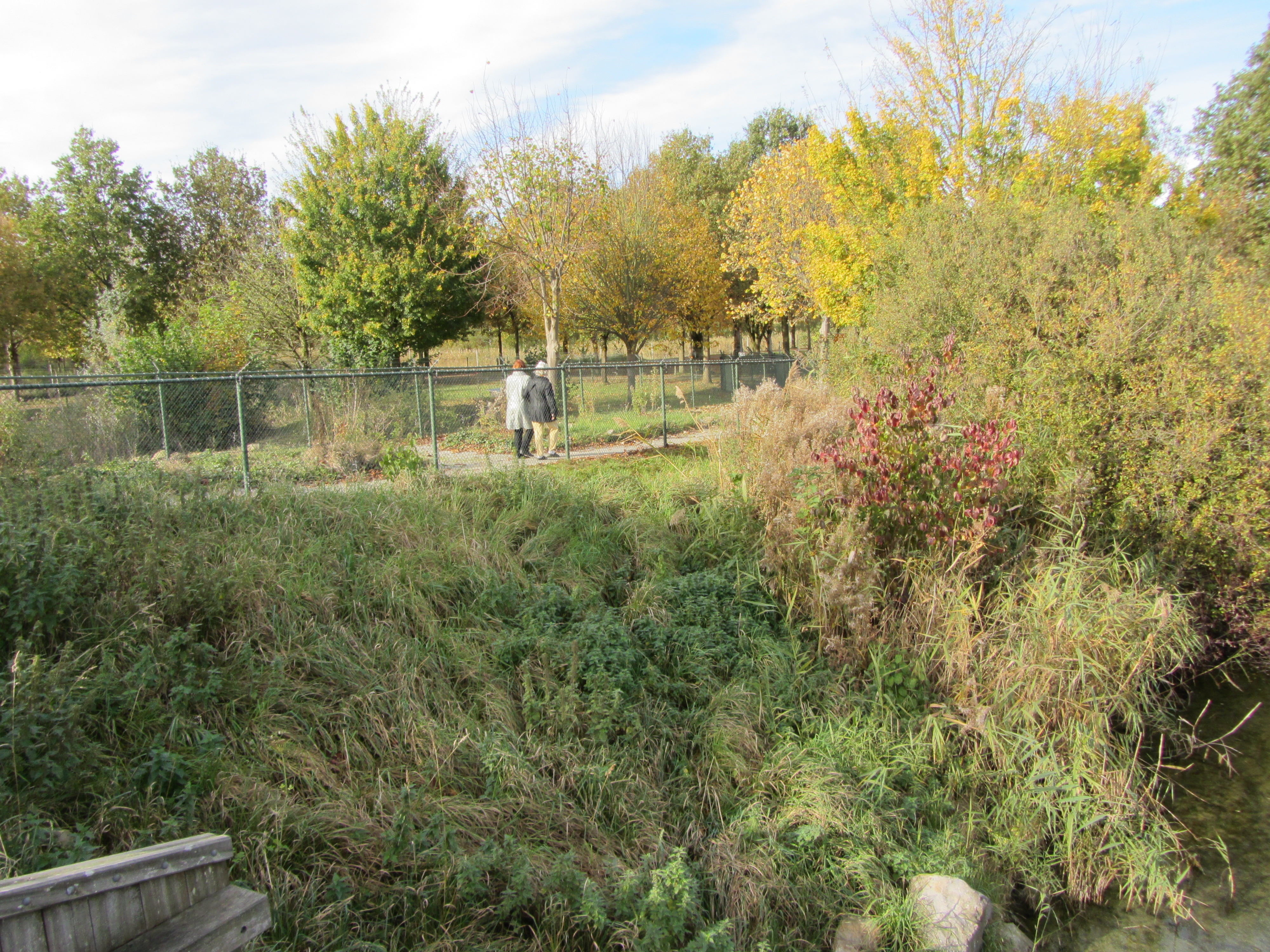 Ipad Marianne 075.JPG